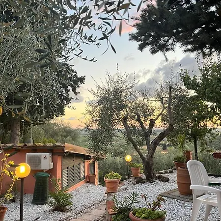 Rose's Valley - Bella Vista - Marinaresco *