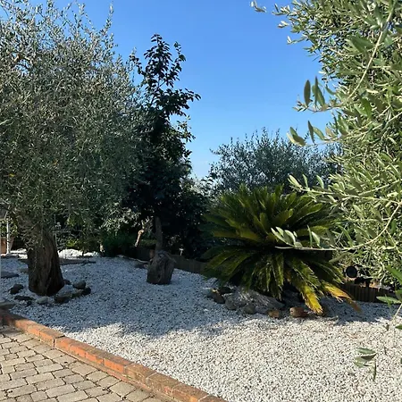 Rose's Valley - Bella Vista - Marinaresco Apartment