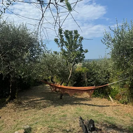 Rose's Valley - Bella Vista - Marinaresco * Massarosa