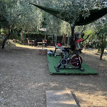 Agrihome Di Alberto Giuseppe Gulotta - Bella Vista - Marinaresco Apartment