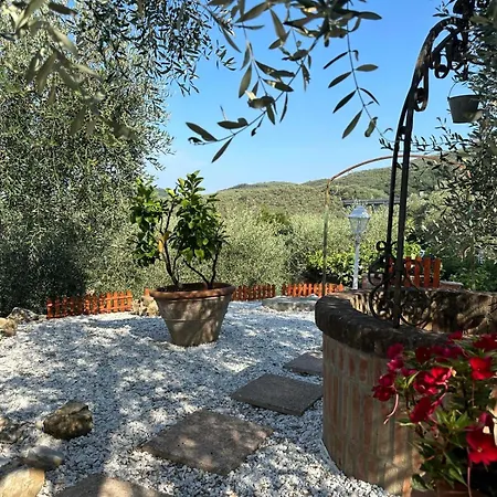 Apartment Agrihome Di Alberto Giuseppe Gulotta - Bella Vista - Marinaresco *