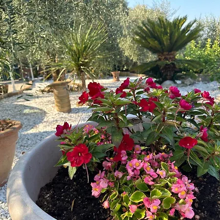 Agrihome Di Alberto Giuseppe Gulotta - Bella Vista - Marinaresco Apartment Massarosa