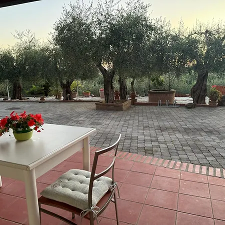 Agrihome Di Alberto Giuseppe Gulotta - Bella Vista - Marinaresco Apartment Massarosa